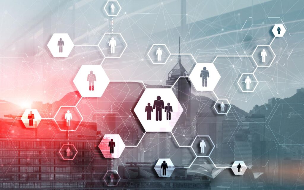 Entity Setup Services