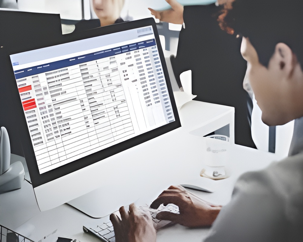 India Entry Services